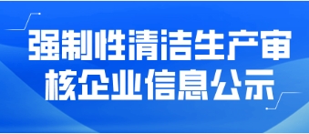 強制性清潔生產審核企業(yè)信息公示——武平偉明環(huán)保能源有限公司